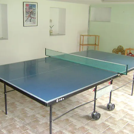 Evianquelle 巴德加斯坦