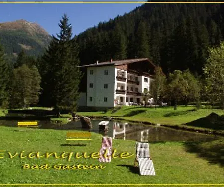 Evianquelle 바트 가슈타인