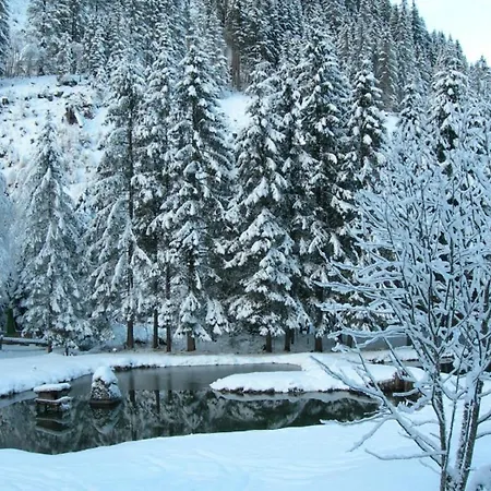 Evianquelle 酒店 巴德加斯坦