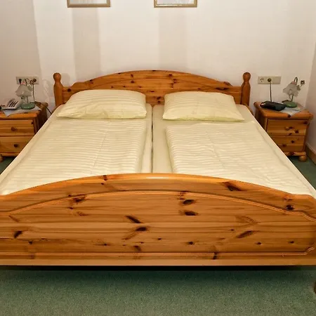 酒店 Evianquelle 巴德加斯坦