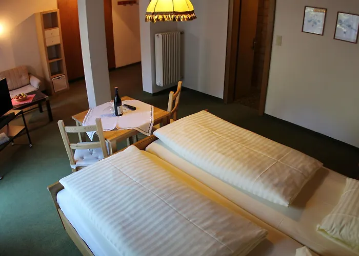 Evianquelle Hotel 3*